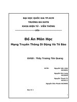 Mạng Truyền Thông Di Động Và Tế Bào
