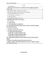 Thực trạng tổ chức hạch toán kế toán về công ty cổ phần công nghệ gigatech việt nam