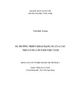 Xu hướng triển khai mạng 3g của các nhà cung cấp gsm việt nam