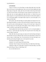 Kế toán bán hàng và xác định kết quả bán hàng tại Công ty CP Ngọc Anh.doc