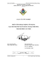Phân tích hoạt động tín dụng tại Chi nhánh Ngân hàng Ngoại thương (VCB) thành phố Cần Thơ qua 3 năm 2005-2007