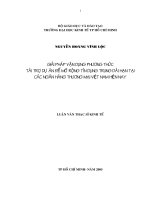 Giải pháp vận dụng phương thức tài trợ dự án để mở rộng tín dụng trung dài hạn tại các ngân hàng thương mại Việt Nam hiện nay