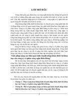 Giải pháp nâng cao hiệu quả kinh doanh nhập khẩu thiết bị khoa học của công ty cổ phần công nghệ Biển Đông (2)