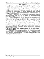 Kế toán tiêu thụ Hàng hóa & xác định kết quả tiêu thụ tại Cty CPTM Bách Khoa