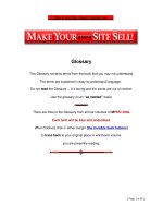 Glossary 