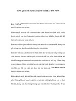 Tổng quan về bệnh lý kênh nhĩ thất bán phần