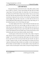 Hoàn thiện công tác kế toán NVL tại Cty Cổ phần Dụng cụ số 1