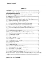 Thực trạng công tác kế toán tiêu thụ hàng hoá tại Công ty dịch vụ và thương mại Tràng Thi