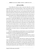 Hoàn thiện công tác kế toán nguyên vật liệu tại Công ty Thăng Long (TALIMEX)