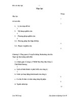 Nghiên cứu hoạt động truyền thông Marketing cho thương hiệu bia Tiger tại thị trường miền Bắc