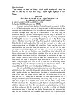 Thực trạng tai nạn lao động - bệnh nghề nghiệp và công tác chi trả chế độ tai nạn lao động - bệnh nghề nghiệp ở Việt Nam.doc