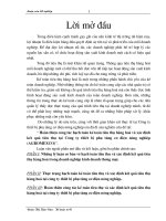 Hoàn thiện công tác kế toán tiêu thụ hàng hoá và xác định kết quả tiêu thụ tại Công ty thiết bị phụ tùng cơ điện nông nghiệp (Agromexco)