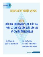 luận văn điều tra thực trạng và đề xuất giải pháp CGH sản xuất cây lúa, cây mía ở tỉnh long an