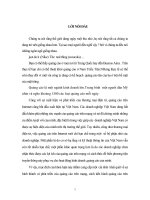 Sự hình thành và phát triển của quảng cáo trên mạng và tình hình ứng dụng Internet vào hoạt động quảng cáo ở Việt Nam