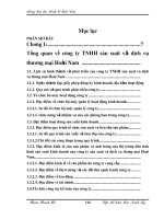 Hoàn thiện kế toán vốn chủ sở hữu tại Cty TNHH Sản xuất và Dịch vụ TM Hoài Nam