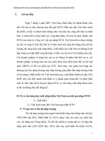 cơ cấu hàng hoá xuất nhập khẩu Việt Nam sau khi gia nhập WTO