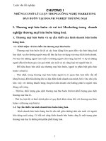  Tình hình vận hành công nghệ marketing bán buôn hàng hạt nhựa và sắt thép tại công ty cung ứng dịch vụ Hàng Không