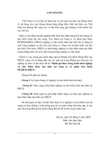 Đánh giá thực trạng triển khai nghiệp vụ Bảo Hiểm thân tàu biển tại Cty cổ phần Bảo Hiểm PETROLIMEX