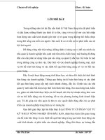 Hoàn thiện công tác kế toán bán hàng và xác định kết quả bán hàng tại Công ty Cổ phần Vật tư Kỹ thuật Nông nghiệp tỉnh Bắc Kạn