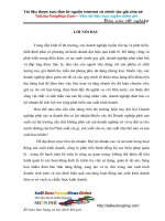 Luận văn Kế toán Bán hàng và Xác định Kết Quả Bán Hàng.doc