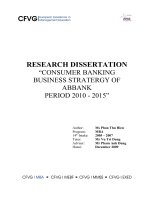 RESEARCH DISSERTATION “CONSUMER BANKING BUSINESS STRATERGY OF ABBANK PERIOD 2010 - 2015” 