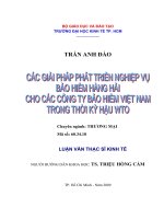 Các giải pháp phát triển nghiệp vụ bảo hiểm hàng hải cho các công ty bảo hiểm Việt Nam trong thời kỳ hậu WTO