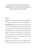 So sánh vai trò của máy chụp cắt lớp võng mạc Heidelberg (HRT) máy chụp cắt lớp có kết quang học (OCT) trong chẩn đoán Glocom