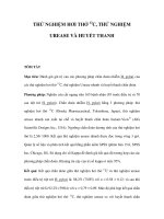 Thử nghiệm hơi thở 13C, thử nghiệm Urease và huyết thanh