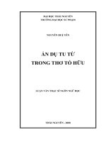 Ẩn dụ tu từ trong thơ Tố Hữu