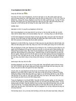 Vì sao bugsearch  kém hấp dẫn