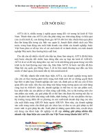 Giải pháp nhằm đẩy nhanh việc thực hiện các cam kết của VN trong khuôn khổ AFTA .doc