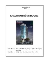 Dự án kinh doanh khách sạn Đông Dương - Hà Tĩnh
