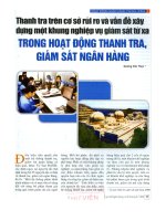 Thanh tra trên cơ sở rủi ro và vấn đề xây dựng một khung nghiệp vụ giám sát từ xa trong hoạt động thanh tra, giám sát ngân hàng