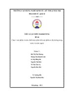 Tiểu luận Marketing  Phân phối 1 sản phẩm ra thị trường trong nước và nứoc ngoài