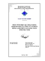 Phân tích hoạt động kinh doanh của Công ty Cổ phần Đông lạnh Thủy Sản Long Toàn