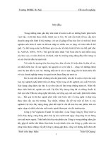 Phân tích và thiết kế biện pháp nâng cao kết quả tiêu thụ sản phẩm tại Công ty Sứ Viglacera Thanh Trì