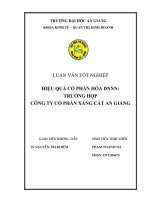 Hiệu quả cổ phần hóa doanh nghiệp nhà nước: Trường hợp công ty cổ phần xáng cát An Giang
