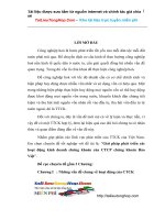 Giải pháp phát triển các hoạt động kinh doanh chứng khoán của CTCP chứng khoán.doc