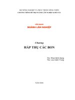 Hấp thụ các bon