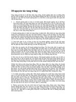 10 nguyên tắc tăng trưởng