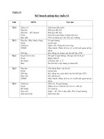 Tài liệu Giáo án môn Tiếng Việt tuần 11