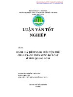 Đánh giá tiềm năng nuôi tôm thẻ chân trắng trên vùng đất cát ở tỉnh Quảng Ngãi
