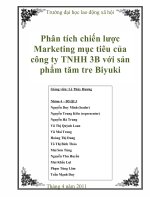 Tìm hiểu chiến lược MKT mục tiêu của công ty TNHH 3B với sản phẩm tăm tre nghệ thuật Biyuki (có kèm slide powerpoint.doc