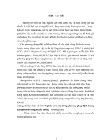 Nghiên cứu xây dựng phương pháp định lượng ketoprofen trong huyết tương