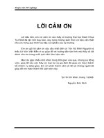 Nghiên cứu quy trình cố định nấm men trên chất màng BC và ứng dụng vào quá trình lên men chính RV