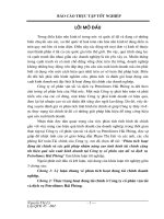 Phân tích hoạt động tài chính và các giải pháp nhằm nâng cao tình hình tài chính cũng như hiệu quả sản xuất kinh doanh tại công ty cổ phần vận tải và dịch vụ Petrolomex, Hải Phòng