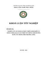 Nghiên cứu so sánh sự phát triển sinh khối và hàm lượng β-glucan ở một số chủng nấm Hương nuôi cấy trong môi trường lỏng