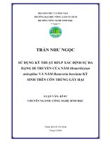 Sử dụng kỹ thuật RFLP xác định sự đa dạng di truyền của nấm