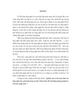 Nghiên cứu xử lý nước thải của làng nghề sản xuất miến dong Cự Đà, Thanh Oai, Hà Nội bằng phương pháp lọc sinh học ngập nước