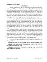 Hoàn thiện tổ chức kế toán NVL tại công ty TNHH sản xuất và thương mại Hữu Nghị (2008)